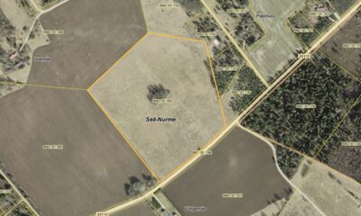 Ackerland in der Landgemeinde Rapla